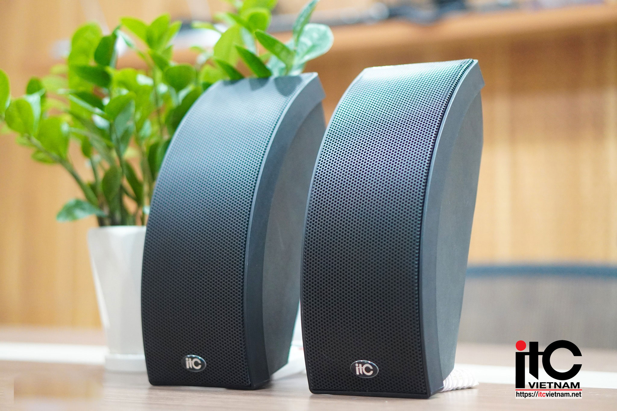 Loa hộp treo tường ITC công suất 40W: T-733B