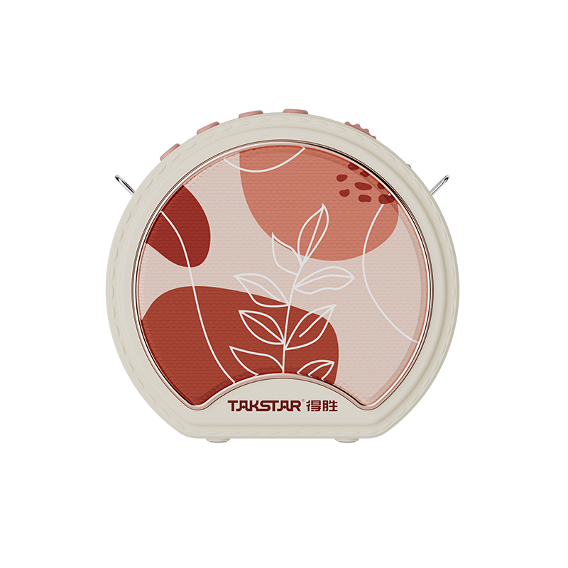 Máy trợ giảng sử dụng mic có dây Takstar E20